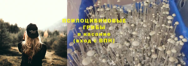 соль ск Лиски