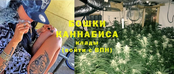 соль ск Лиски