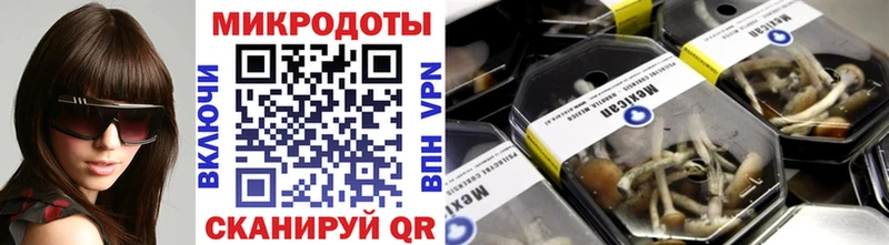 Галлюциногенные грибы Psilocybe  Лысково 